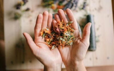 Les 5 piliers de la naturopathie expliqués simplement